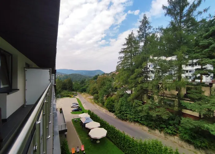 Czarodziejska Gora Kozubnik Daglezja
