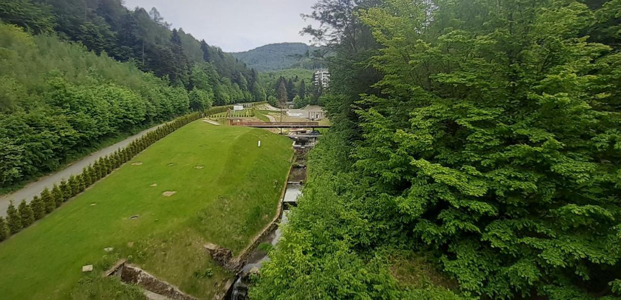 Apartment Czarodziejska Gora Kozubnik Daglezja