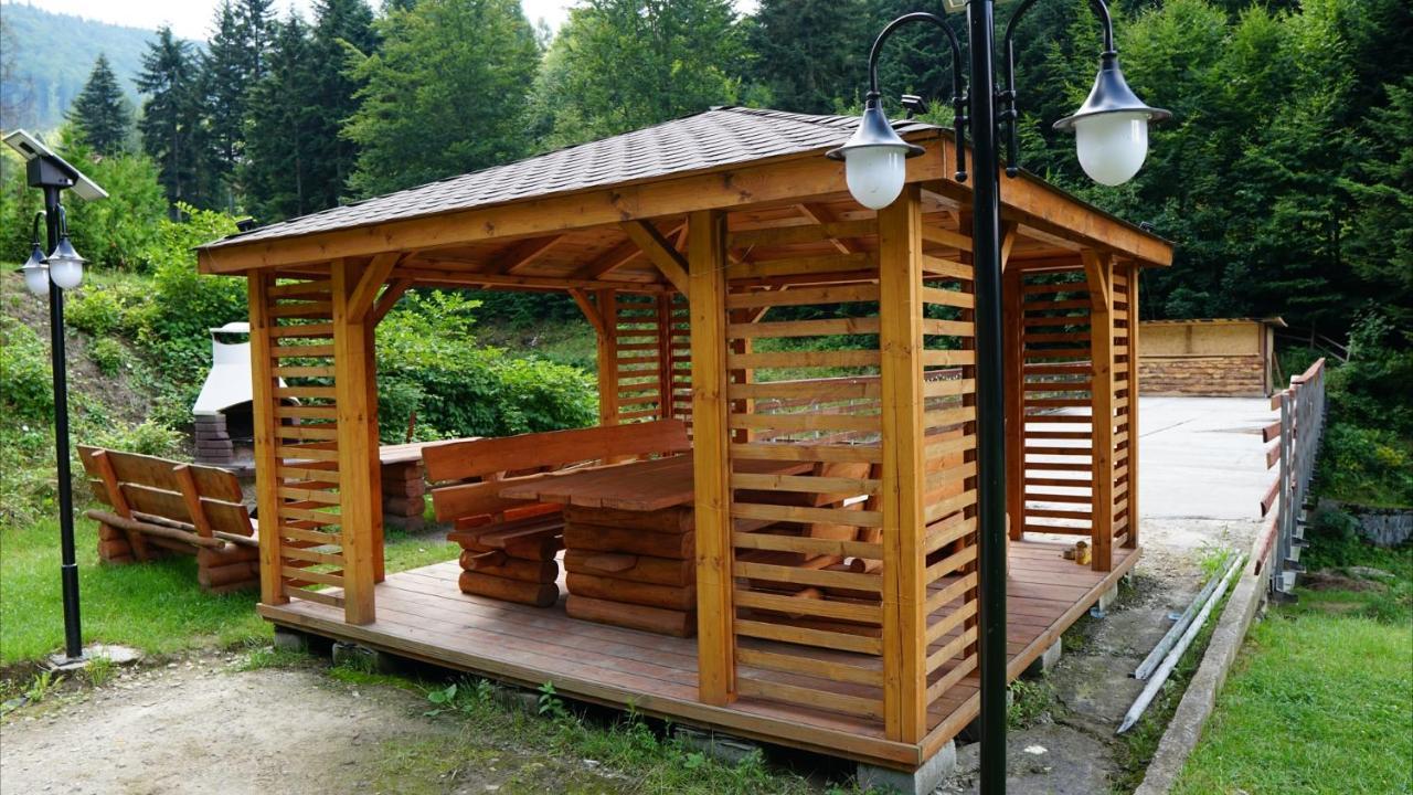 Czarodziejska Gora Kozubnik Daglezja * Porabka