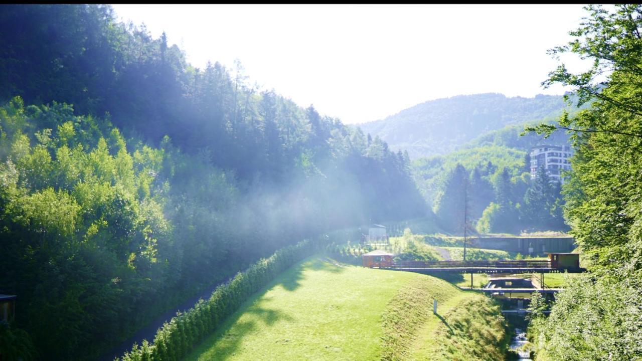 Czarodziejska Gora Kozubnik Daglezja Porabka