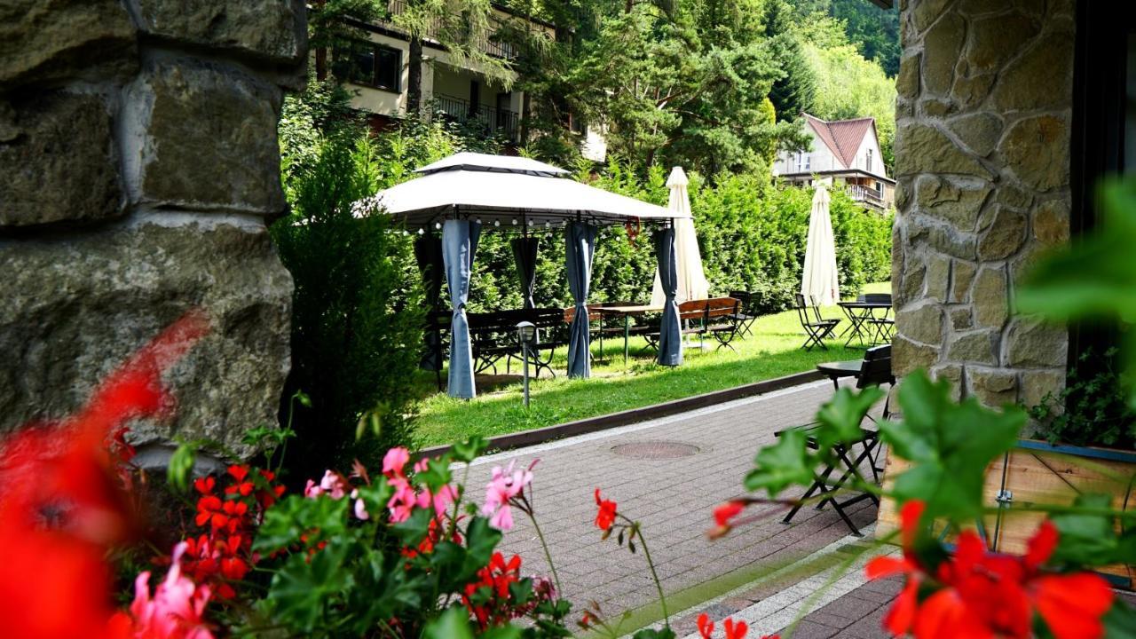 Czarodziejska Gora Kozubnik Daglezja *