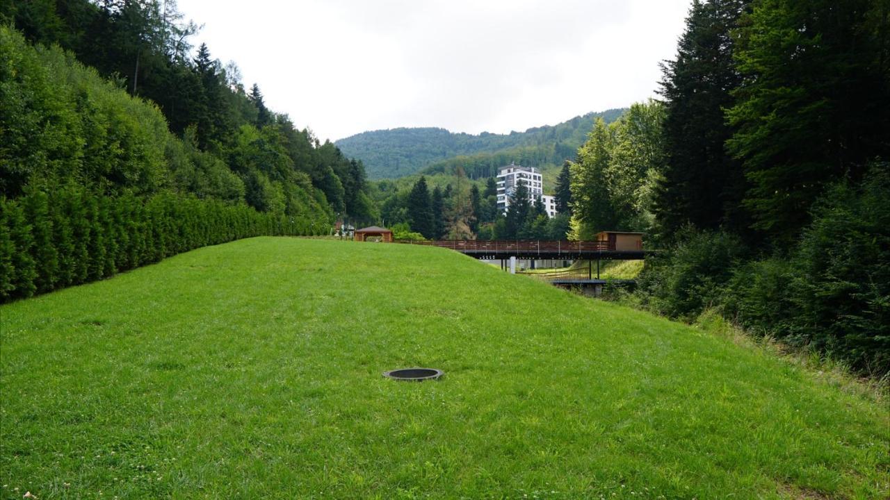 Czarodziejska Gora Kozubnik Daglezja