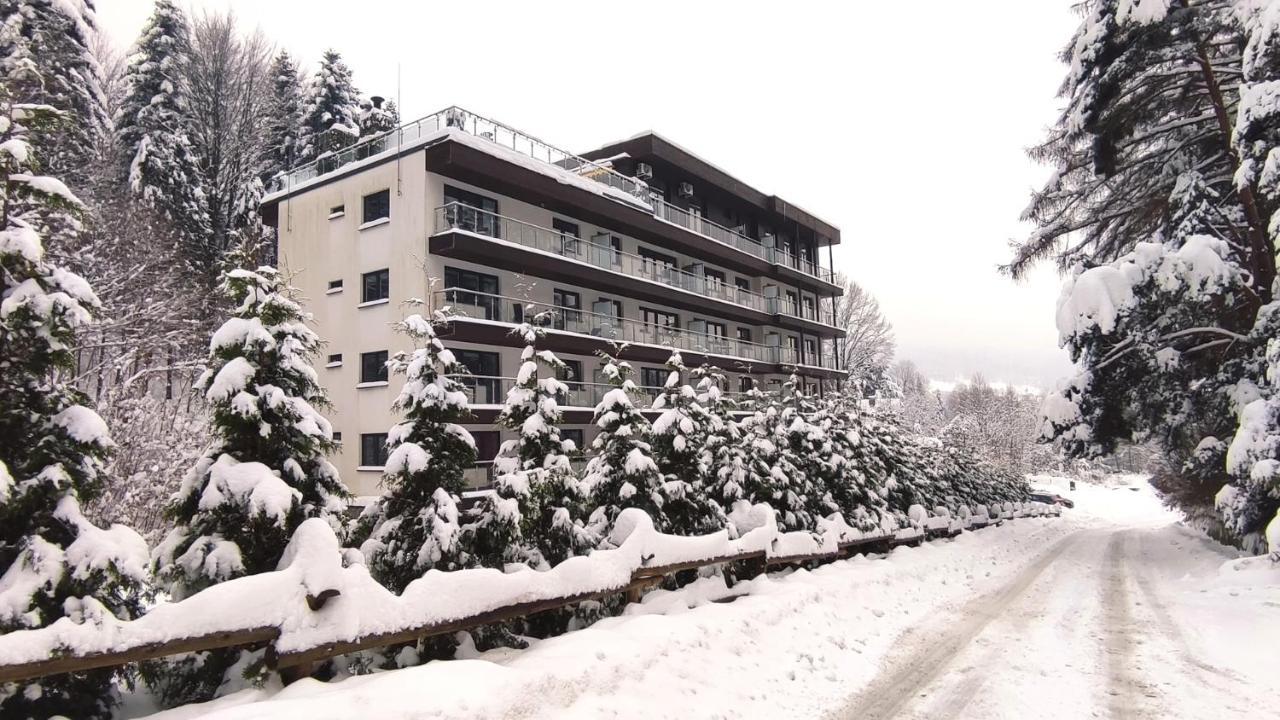 Czarodziejska Gora Kozubnik Daglezja