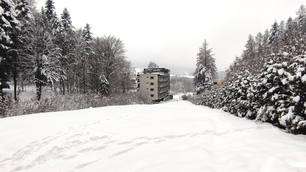 Czarodziejska Gora Kozubnik Daglezja *