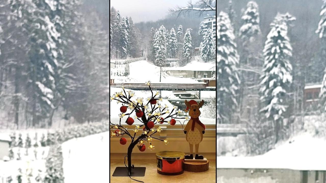Czarodziejska Gora Kozubnik Daglezja Porabka
